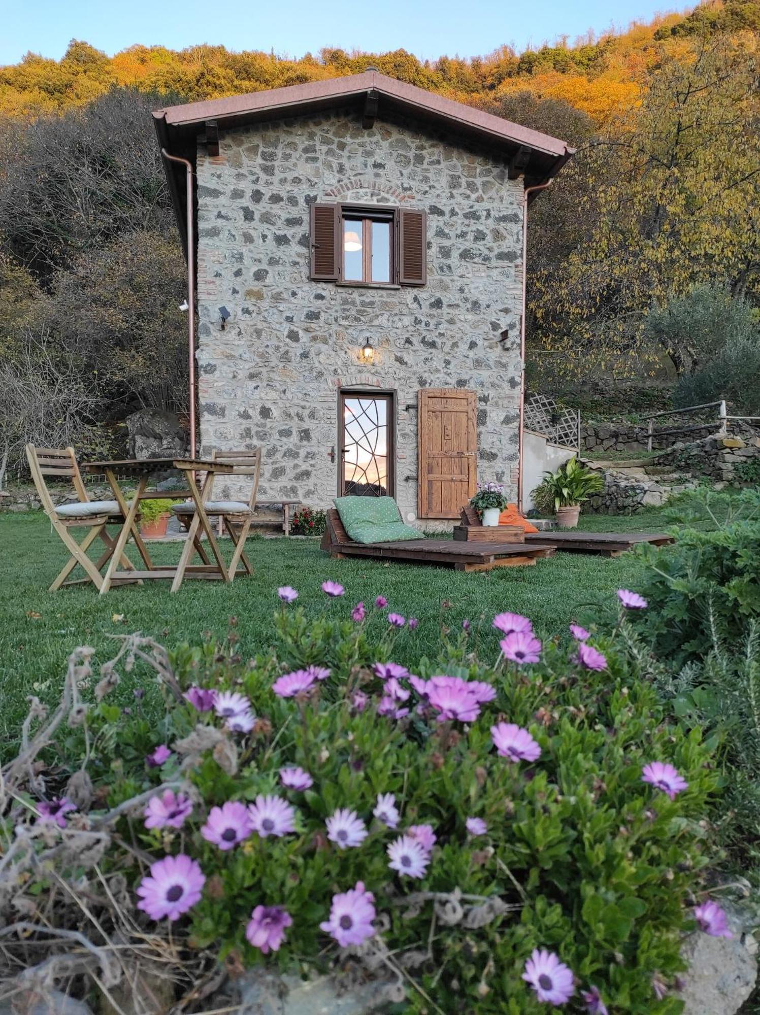 Il Nemus Agriturismo Villa Nemi Bagian luar foto