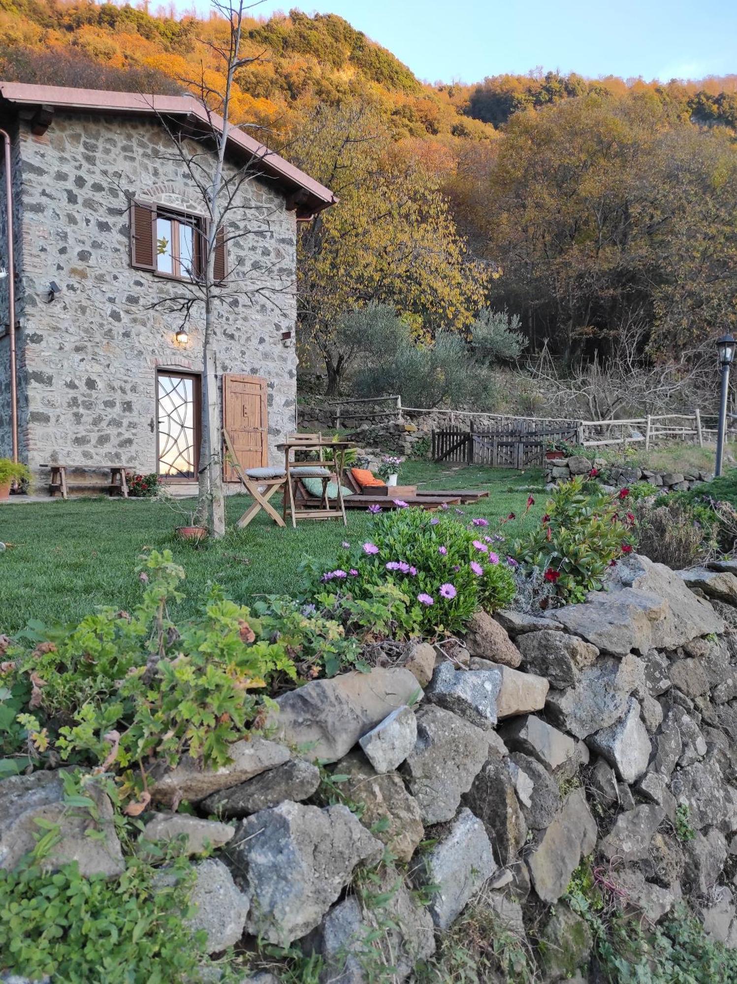 Il Nemus Agriturismo Villa Nemi Bagian luar foto